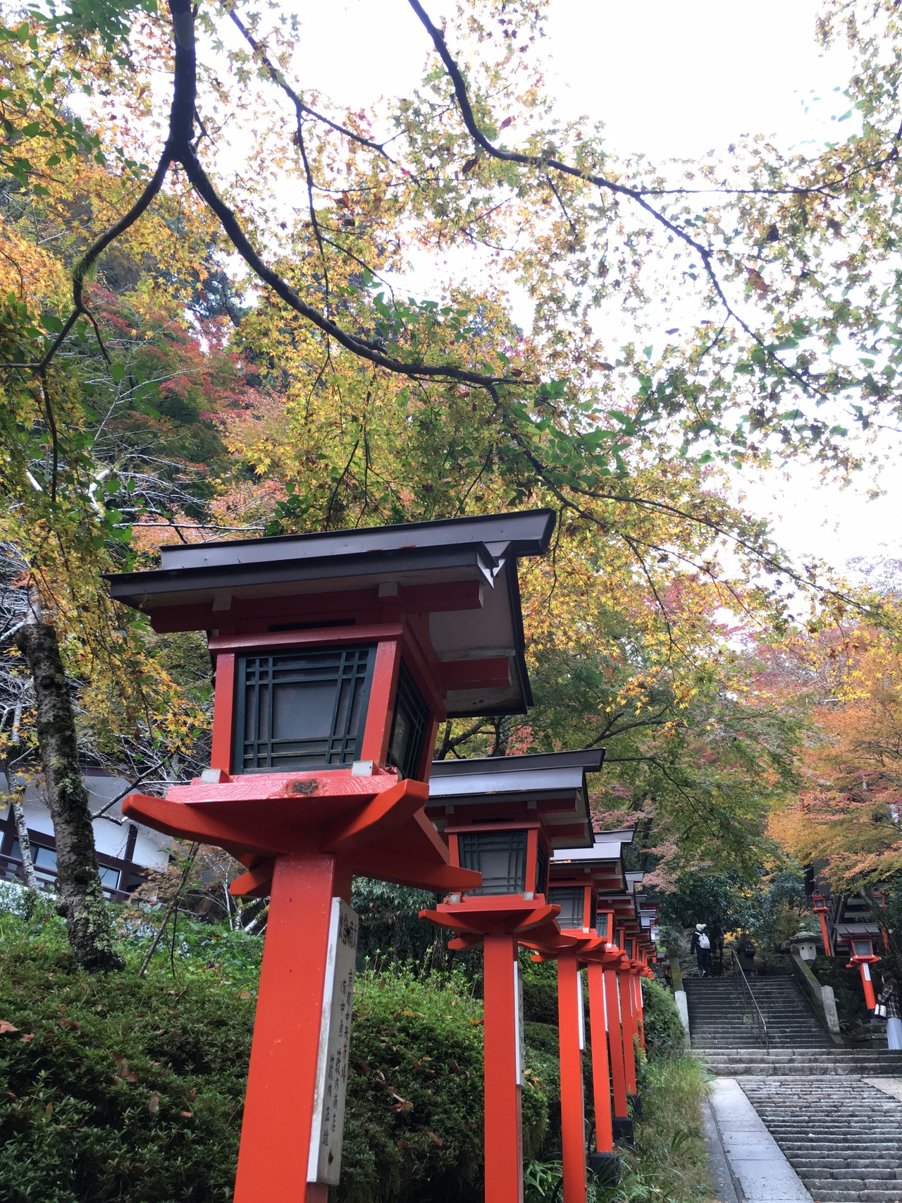2回目 一人の京都のハイキングでした 鞍馬駅から歩いて 貴船神社側を下りました 観光者も沢山いて 紅葉も十分に綺麗でした A Kさんの京都一周トレイルの活動データ Yamap ヤマップ
