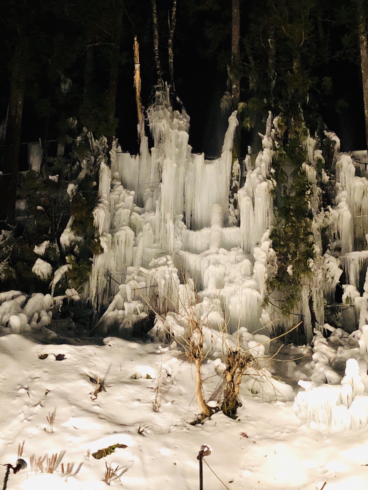 福地温泉 青だる 01 14 まきさんの福地山の活動日記 Yamap ヤマップ