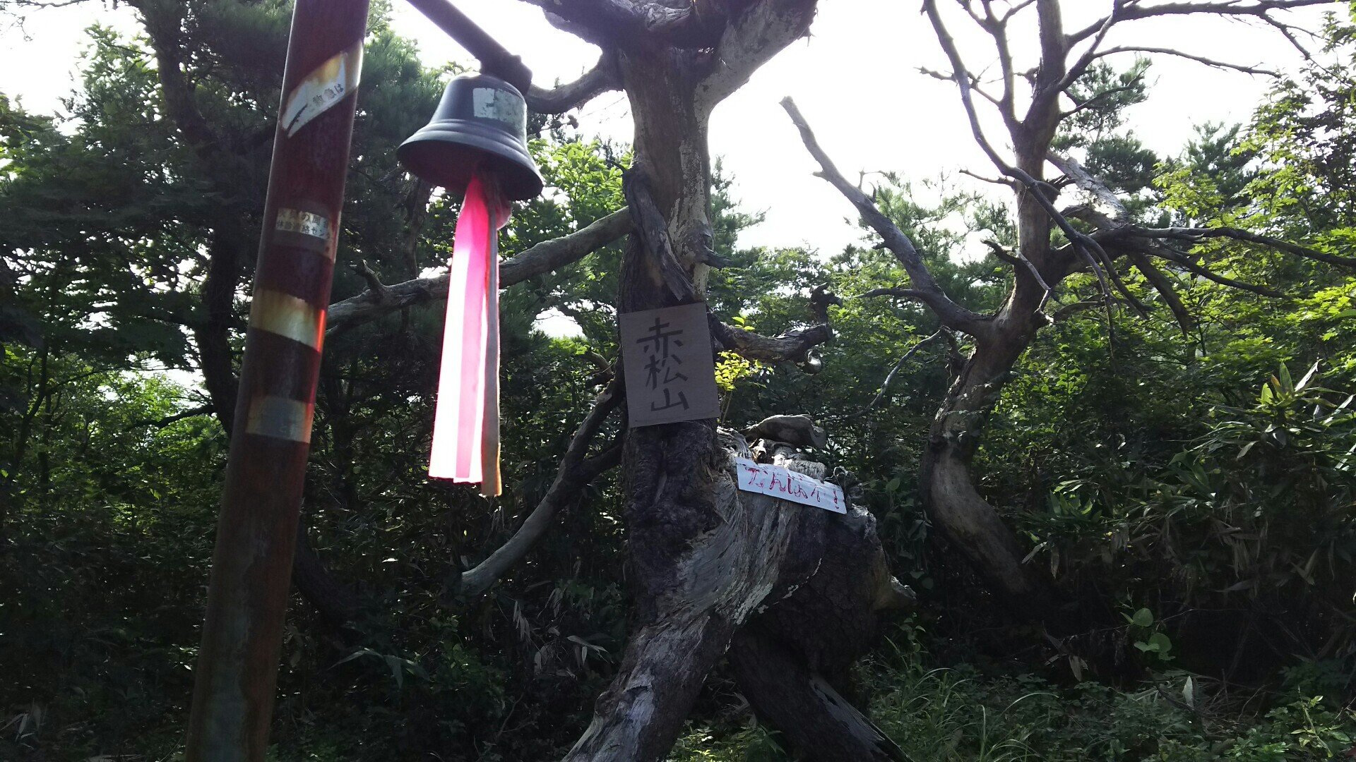 赤松山 新潟県 の最新登山情報 紅葉 人気の登山ルート 写真 天気など Yamap ヤマップ