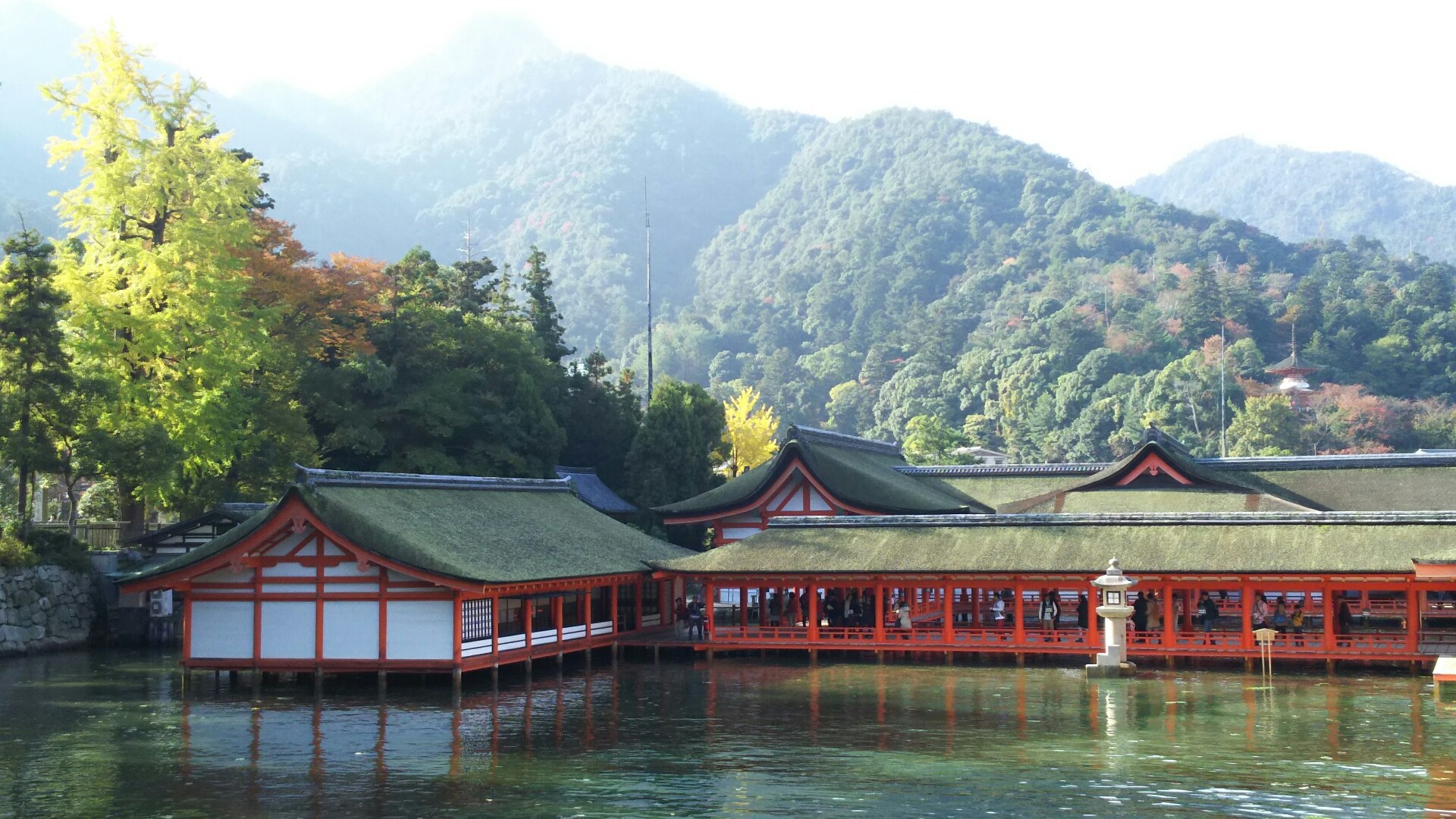 Vol 106 広島 宮島 弥山 紅葉 を求めて Maxさんの宮島 厳島 弥山の活動日記 Yamap ヤマップ