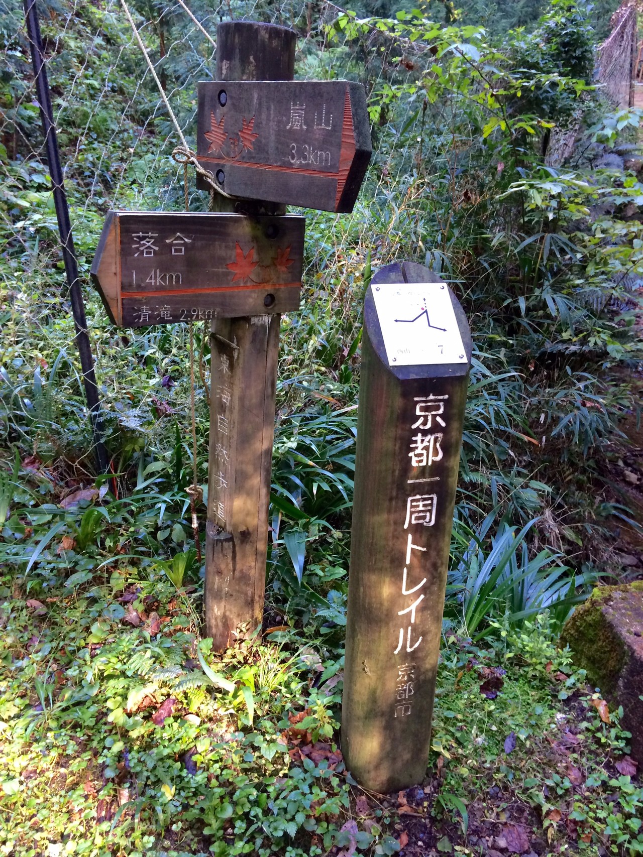 京都トレイル一周終了 高雄 鈴虫寺 チェリーさんの京都一周トレイルの活動日記 Yamap ヤマップ