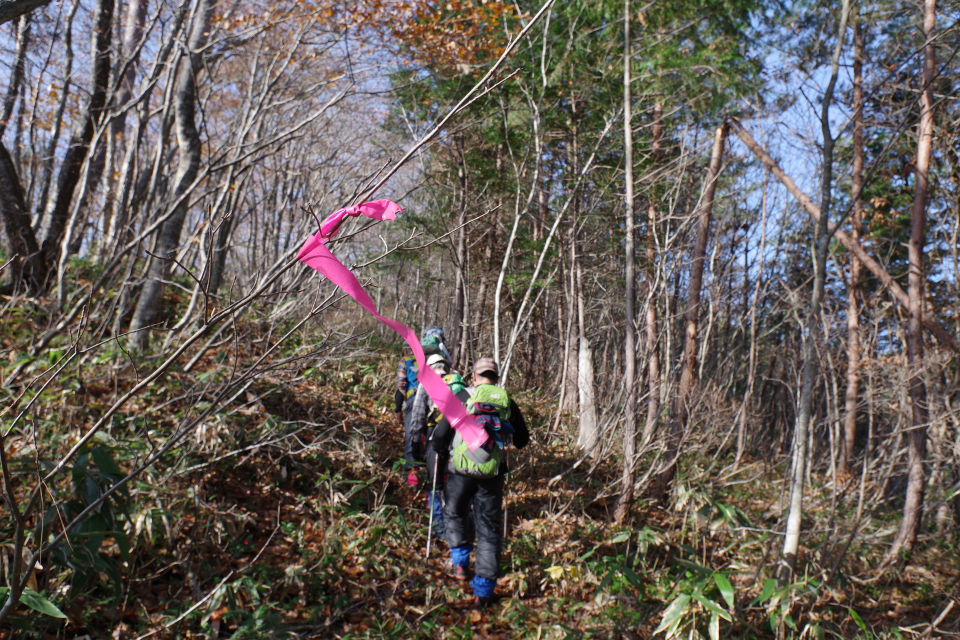 秋の赤林山 都南つどいの森から周回 岩手県 盛岡市 矢巾町 ｊｕｎさんの南昌山 東根山 箱ヶ森の活動日記 Yamap ヤマップ