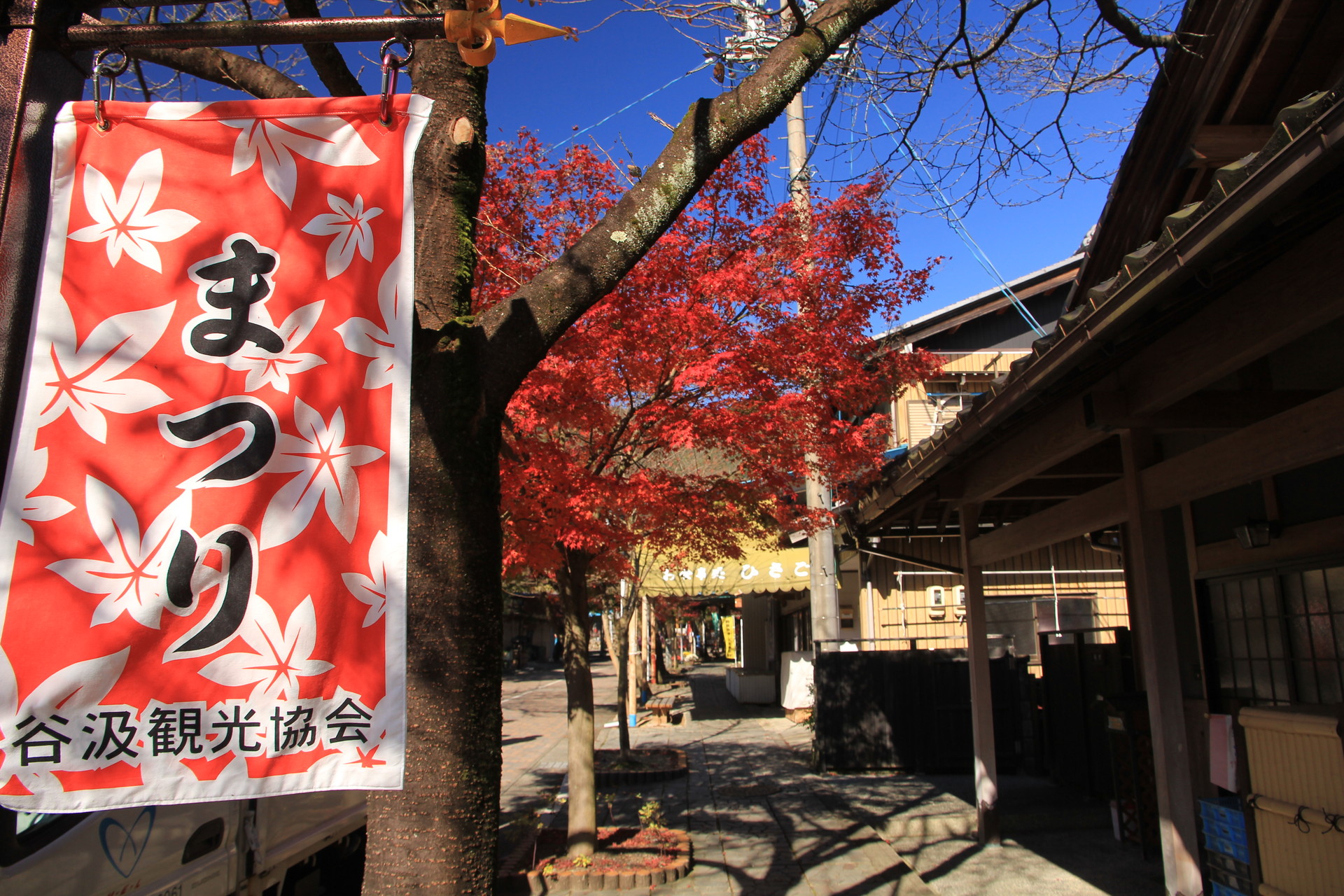 紅葉ツーリング 谷汲山 華厳寺 徳山ダム Max00gtrさんの妙法ヶ岳 華厳寺の活動日記 Yamap ヤマップ