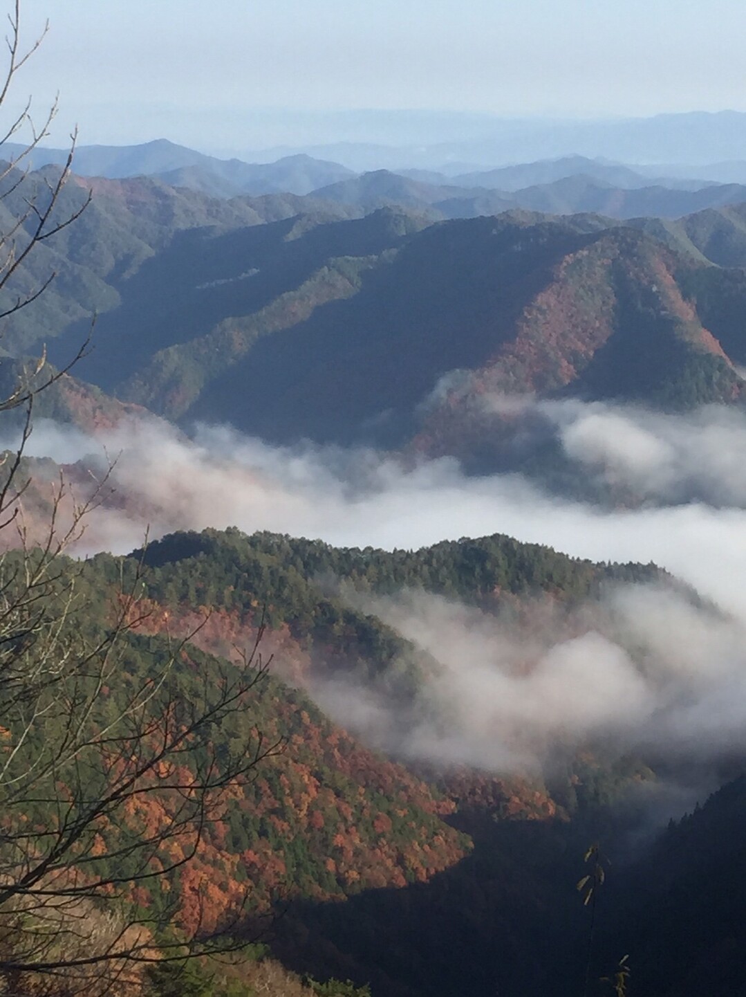 雲海鑑賞ポイント案内 奈良県のせがわ村 バリアフリー雲海ですよ O かあこさんの熊野古道 小辺路の活動データ Yamap ヤマップ