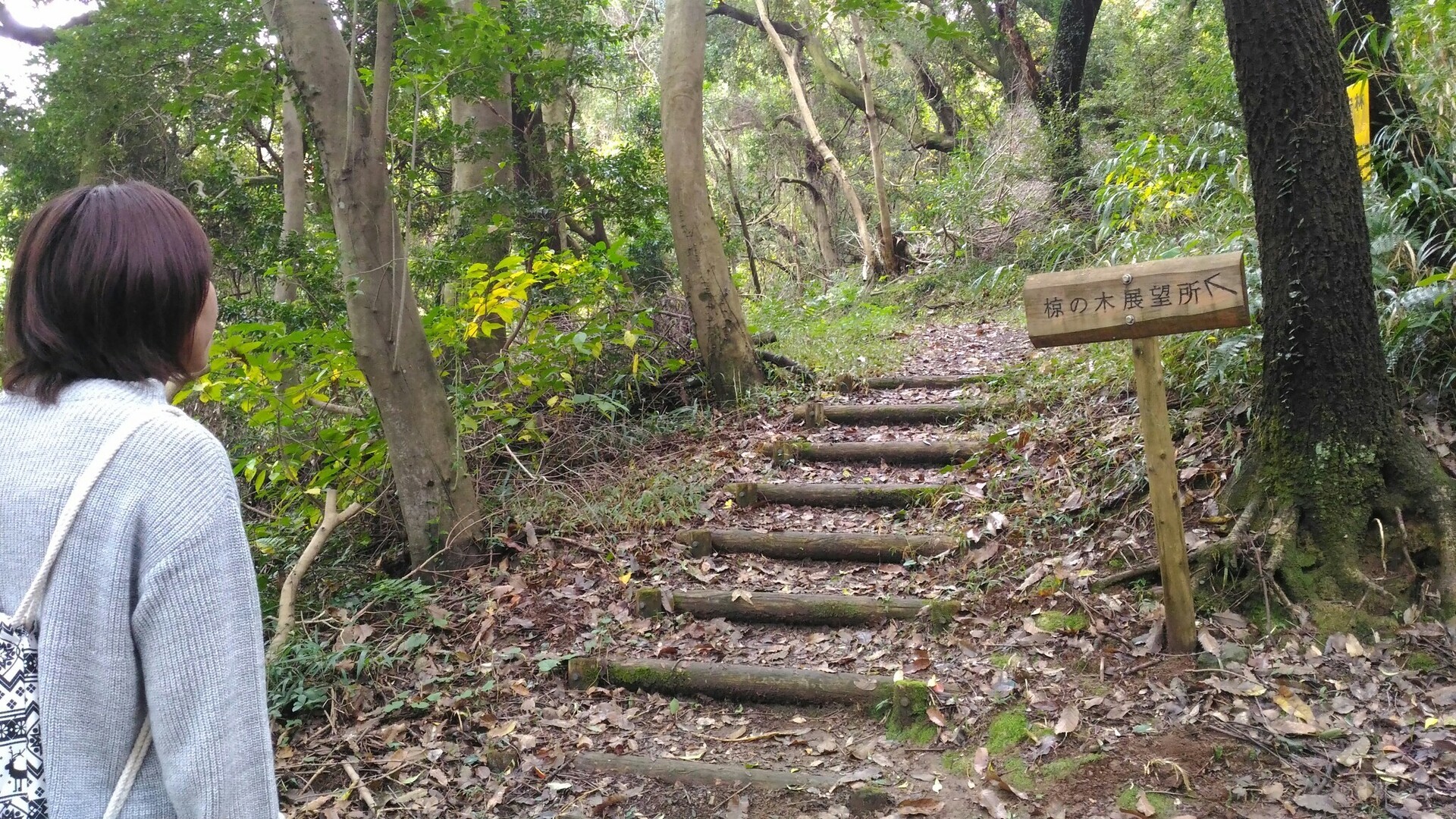 嫁さんと行く立田山散策 ジローさんの合志市の活動日記 Yamap ヤマップ