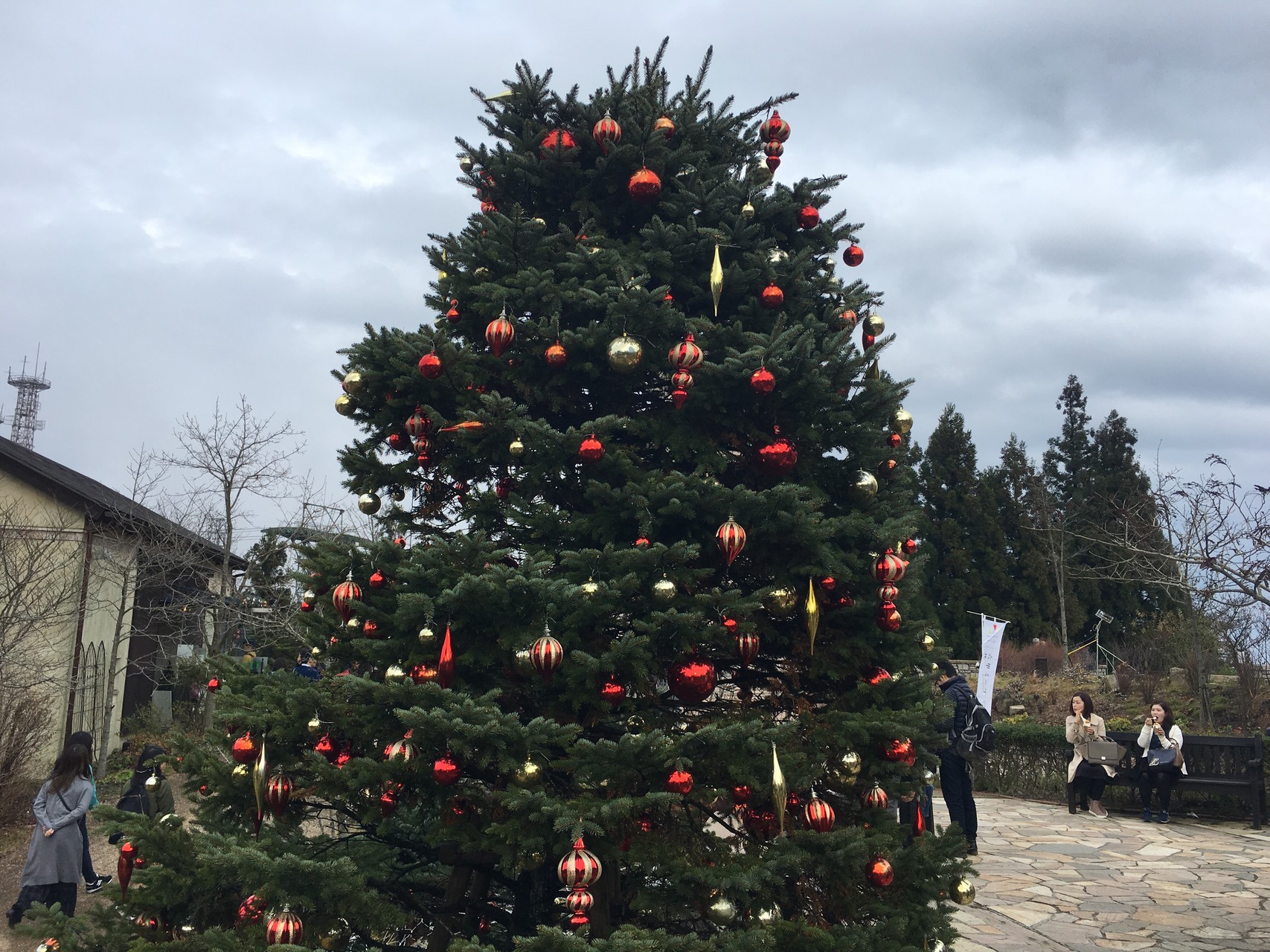 住吉 六甲最高峰 瑞宝寺公園 六甲ガーデンテラス 住吉 まるさんの六甲山 長峰山 摩耶山の活動データ Yamap ヤマップ