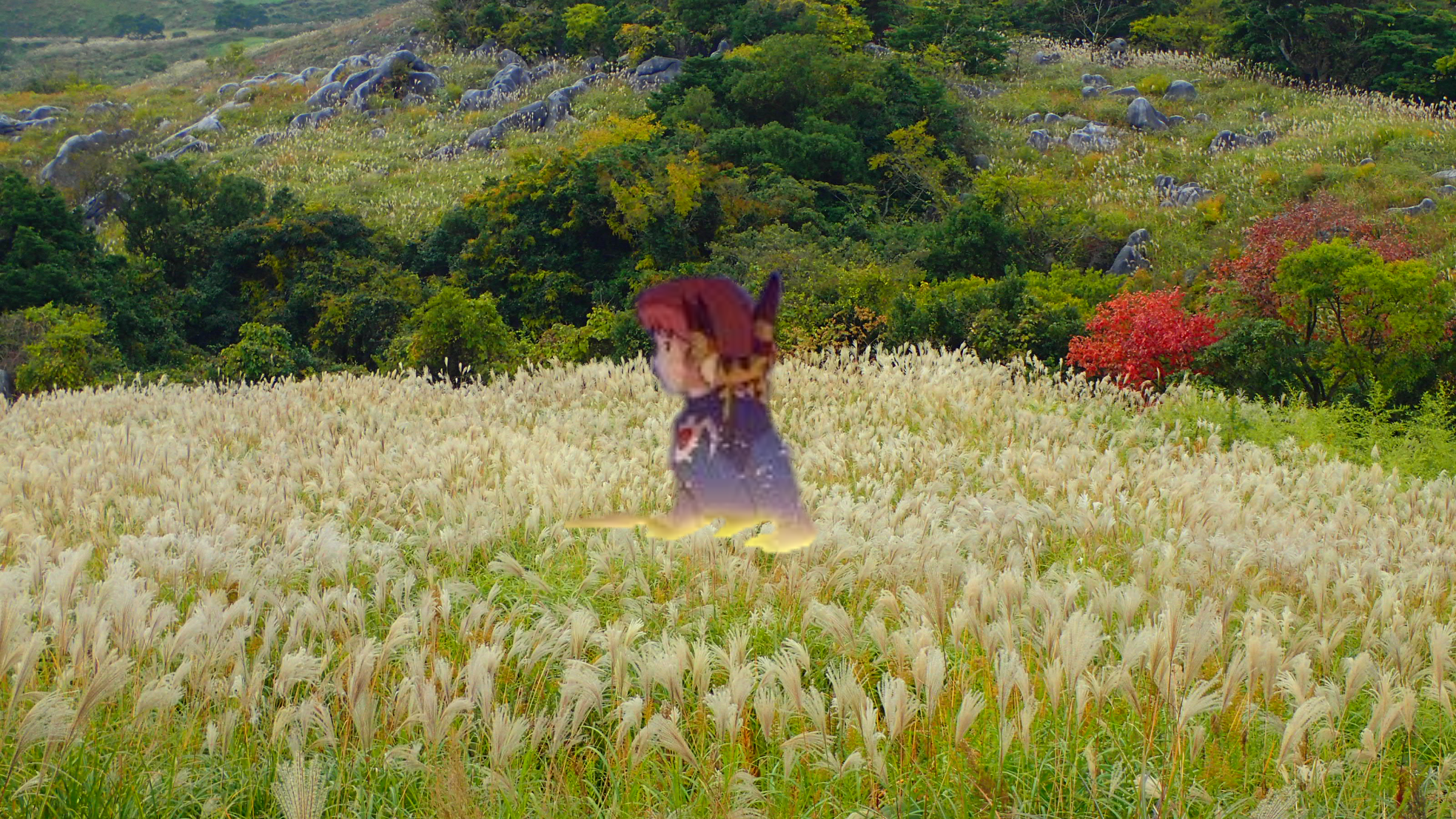 風の谷一族の古い伝承にある青き衣の者にnodapyonは出会った 世界ウルルン滞在記風に Nodapyonさんの平尾台 貫山 水晶山の活動日記 Yamap ヤマップ