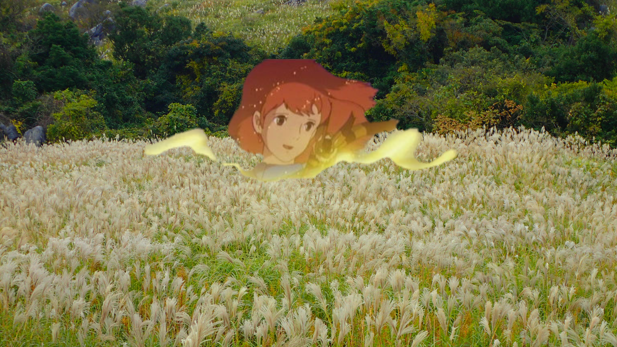 風の谷一族の古い伝承にある青き衣の者にnodapyonは出会った 世界ウルルン滞在記風に Nodapyonさんの平尾台 貫山 水晶山の活動日記 Yamap ヤマップ