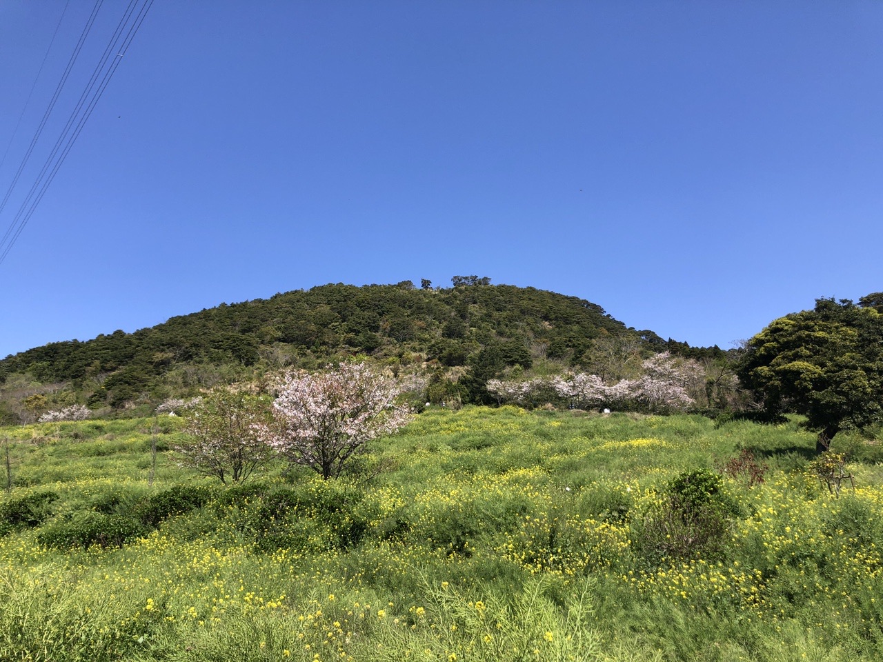 柳山 薩摩川内 柳山アグリランド ひろゆきさんの薩摩川内市の活動データ Yamap ヤマップ