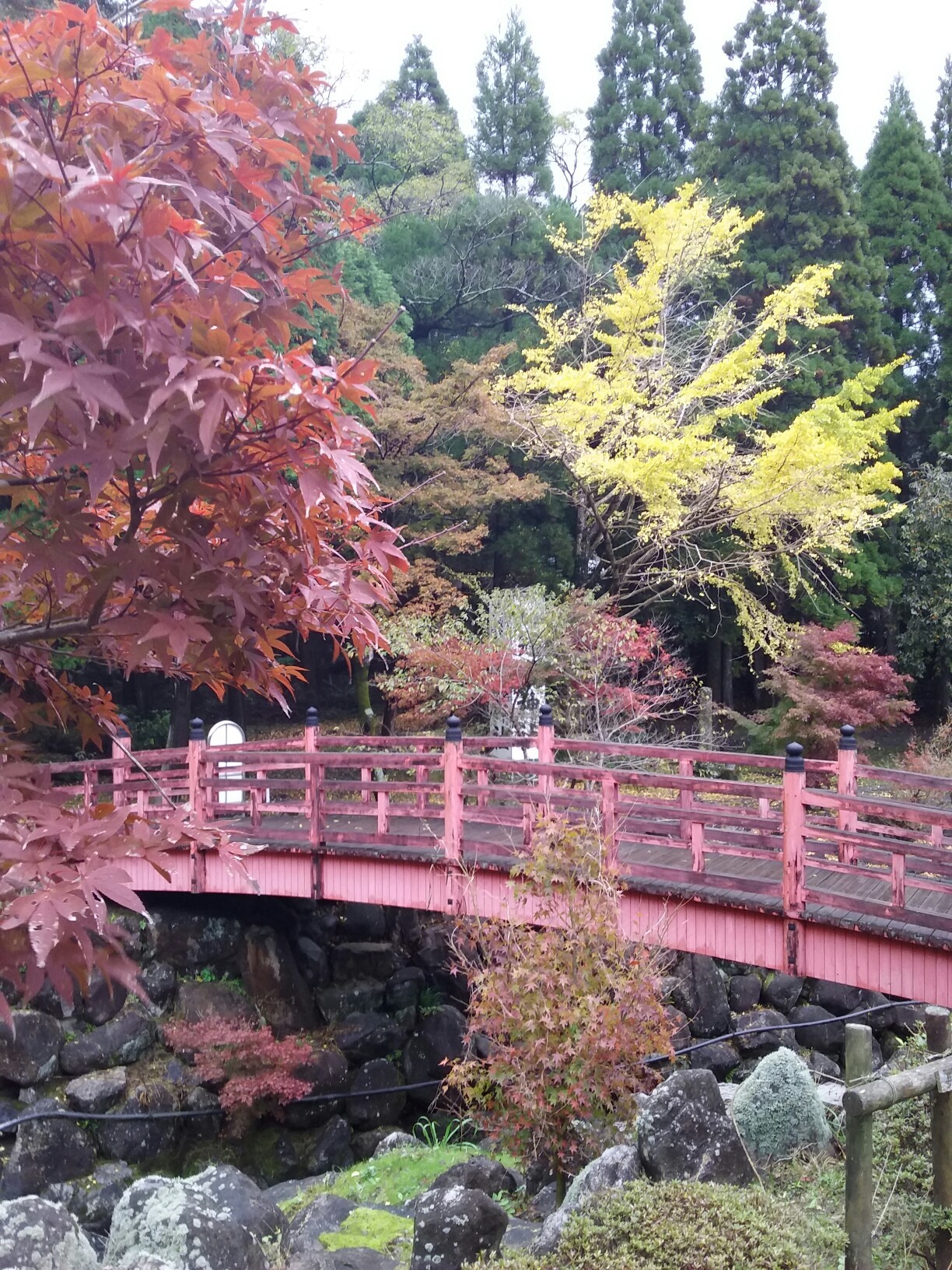 冠岳花川砂防公園 紅葉の名所 かみなりさんの冠岳の活動日記 Yamap ヤマップ