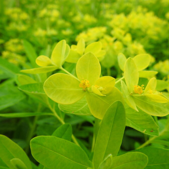 谷山のページ YAMAP / ヤマップ