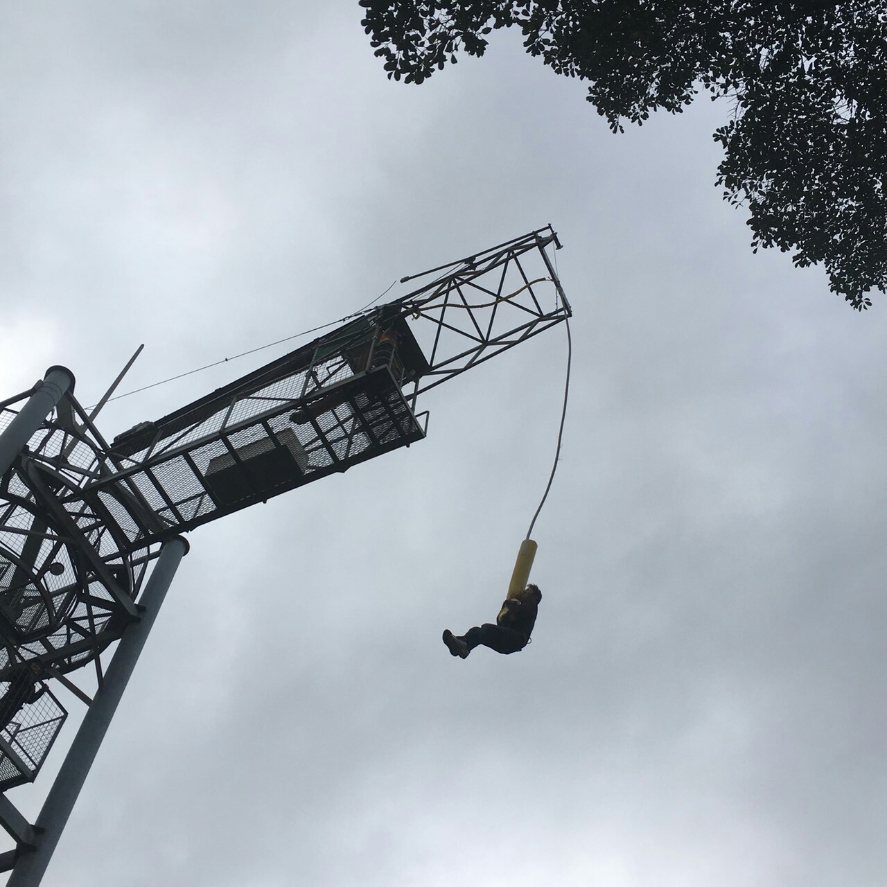 特別編 バンジージャンプに初挑戦 ユッキーさんの知多半島 任坊山 本宮山 鍋山 の活動日記 Yamap ヤマップ