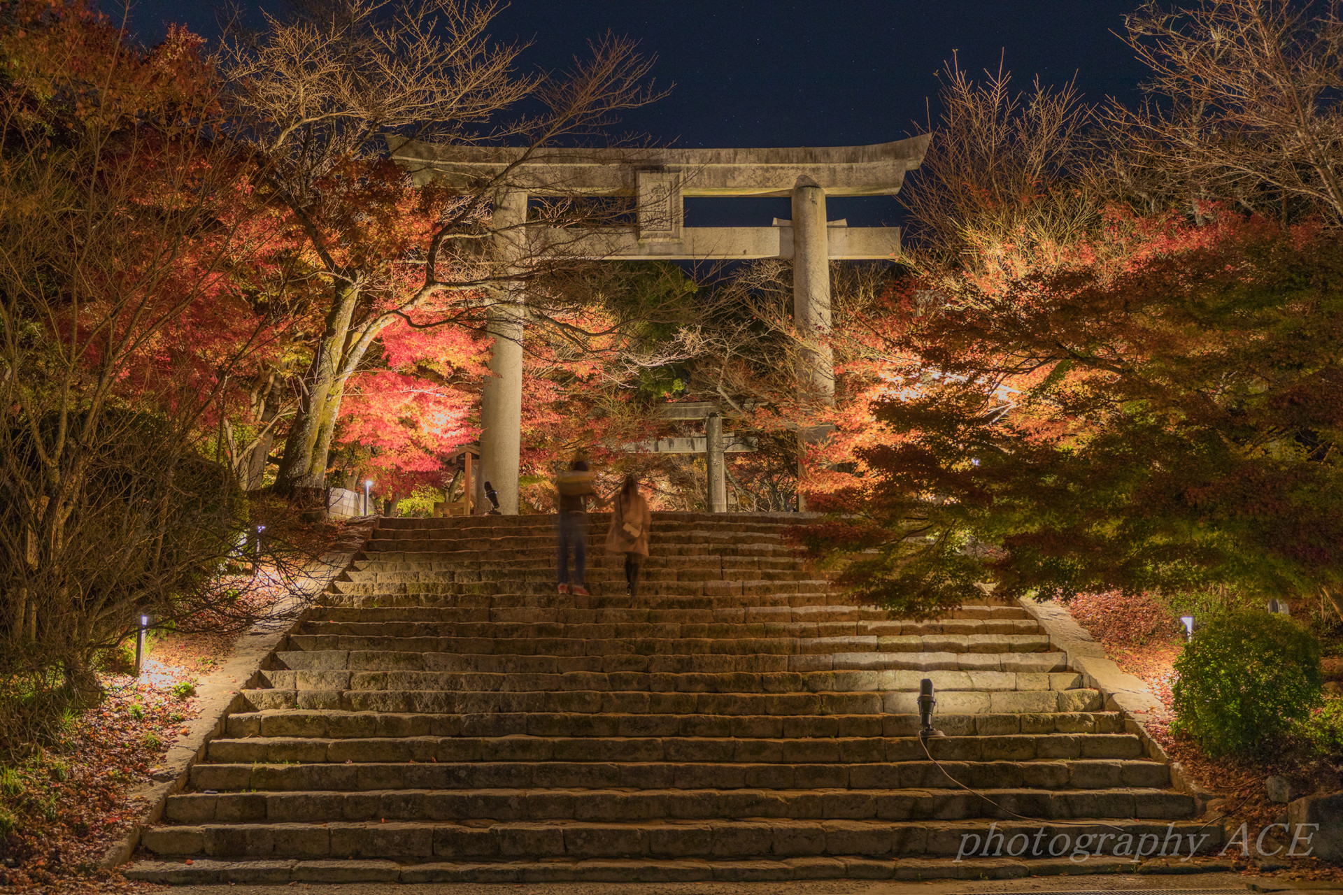 竈門神社の紅葉ライトアップ Aceさんの宝満山 三郡山 若杉山の活動データ Yamap ヤマップ