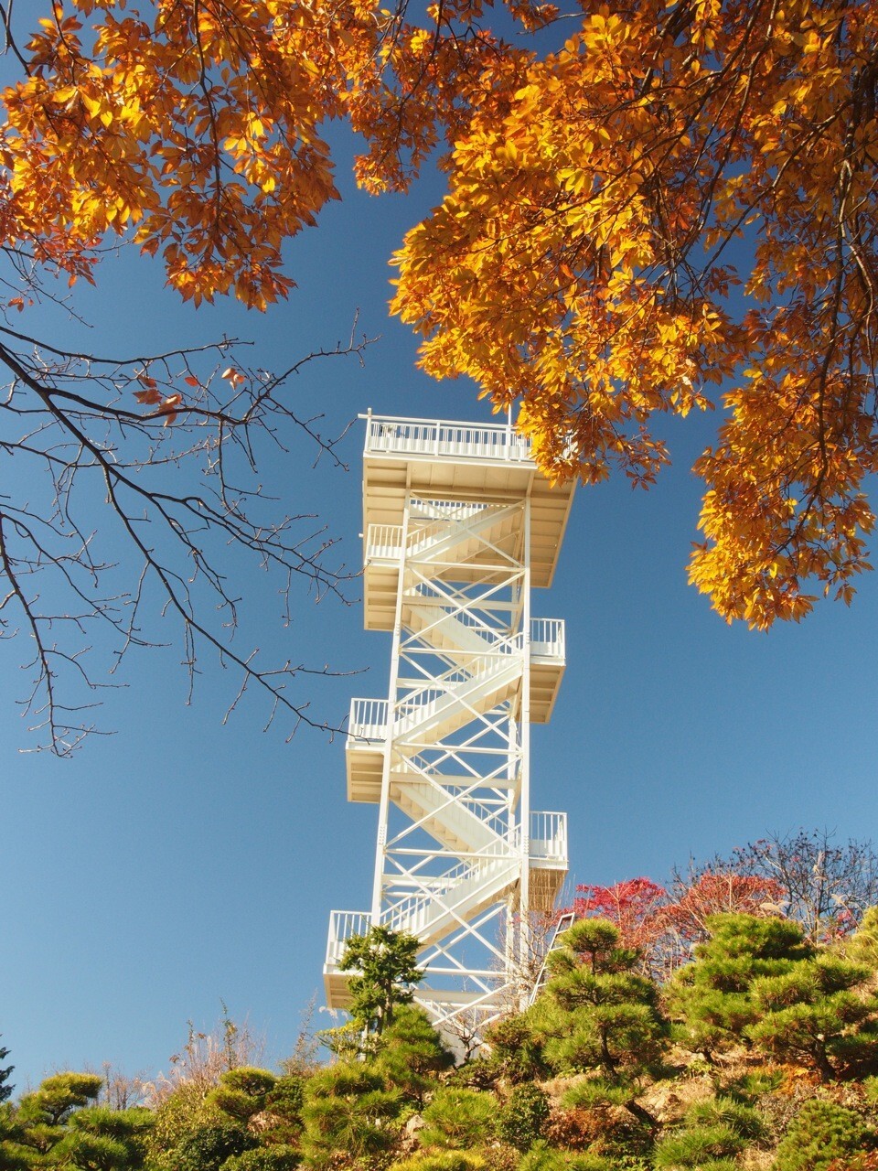 鴻巣山 吉野工業 Yana 1さんの太平山 晃石山 唐沢山の活動データ Yamap ヤマップ