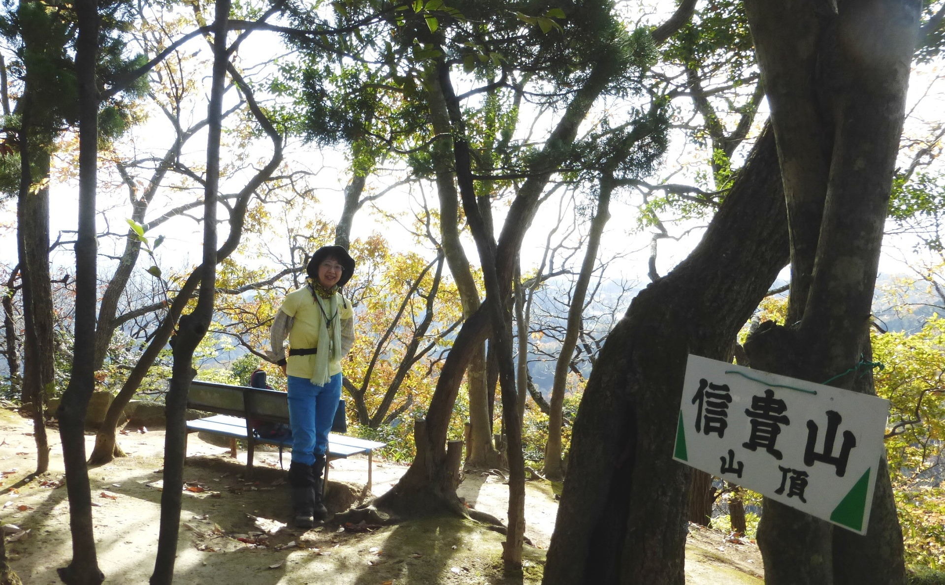 初 恩智駅から高安山 信貴山へ 残り紅葉が素敵 あかりさんの生駒山 神津嶽 大原山の活動日記 Yamap ヤマップ