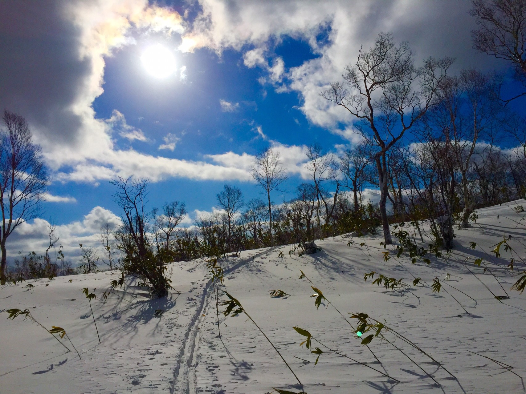 中山峠 蓬莱山 幌滝山 スキー場 中山峠 Yuzuさんの札幌岳 空沼岳の活動日記 Yamap ヤマップ
