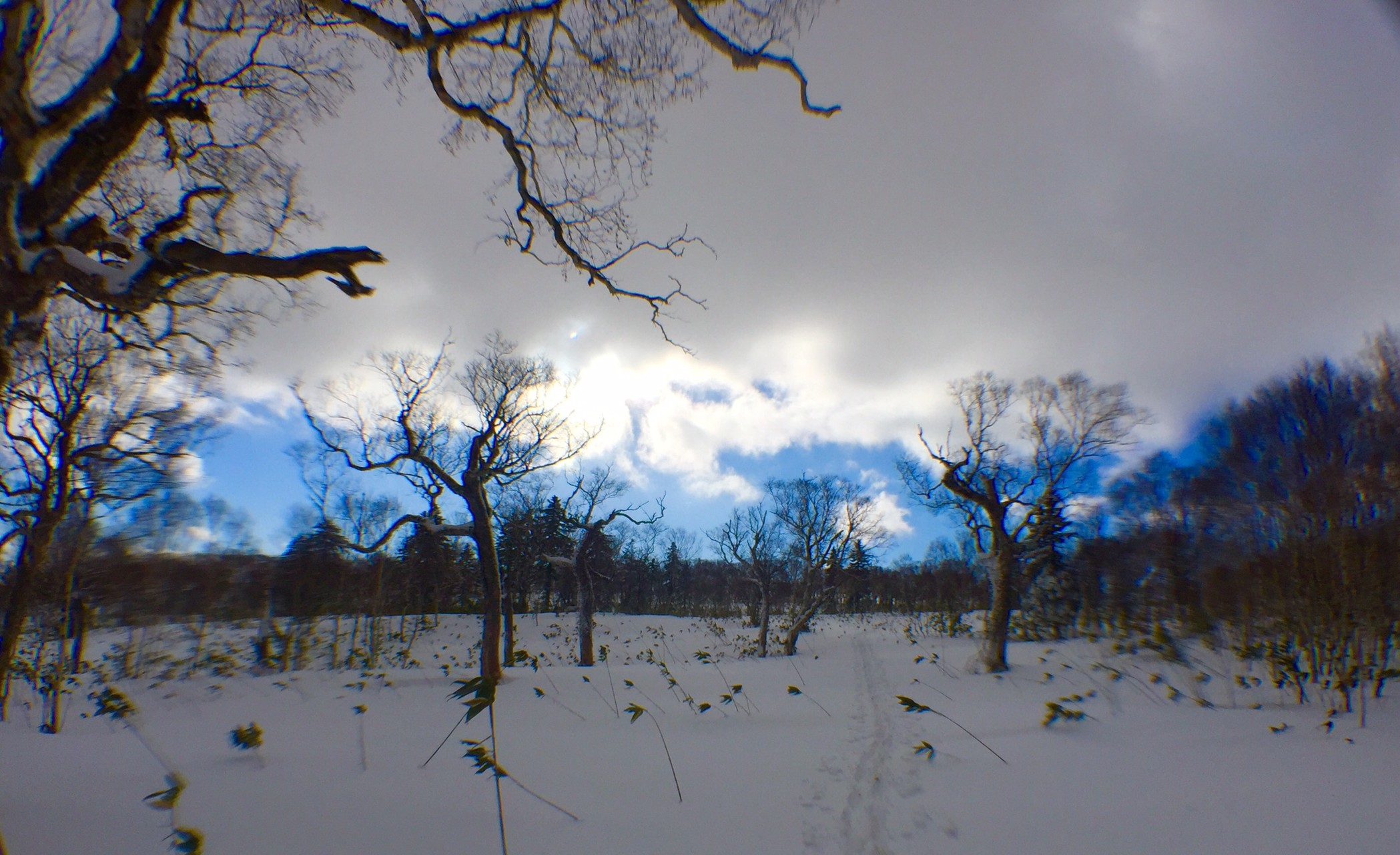 中山峠 蓬莱山 幌滝山 スキー場 中山峠 Yuzuさんの札幌岳 空沼岳の活動日記 Yamap ヤマップ