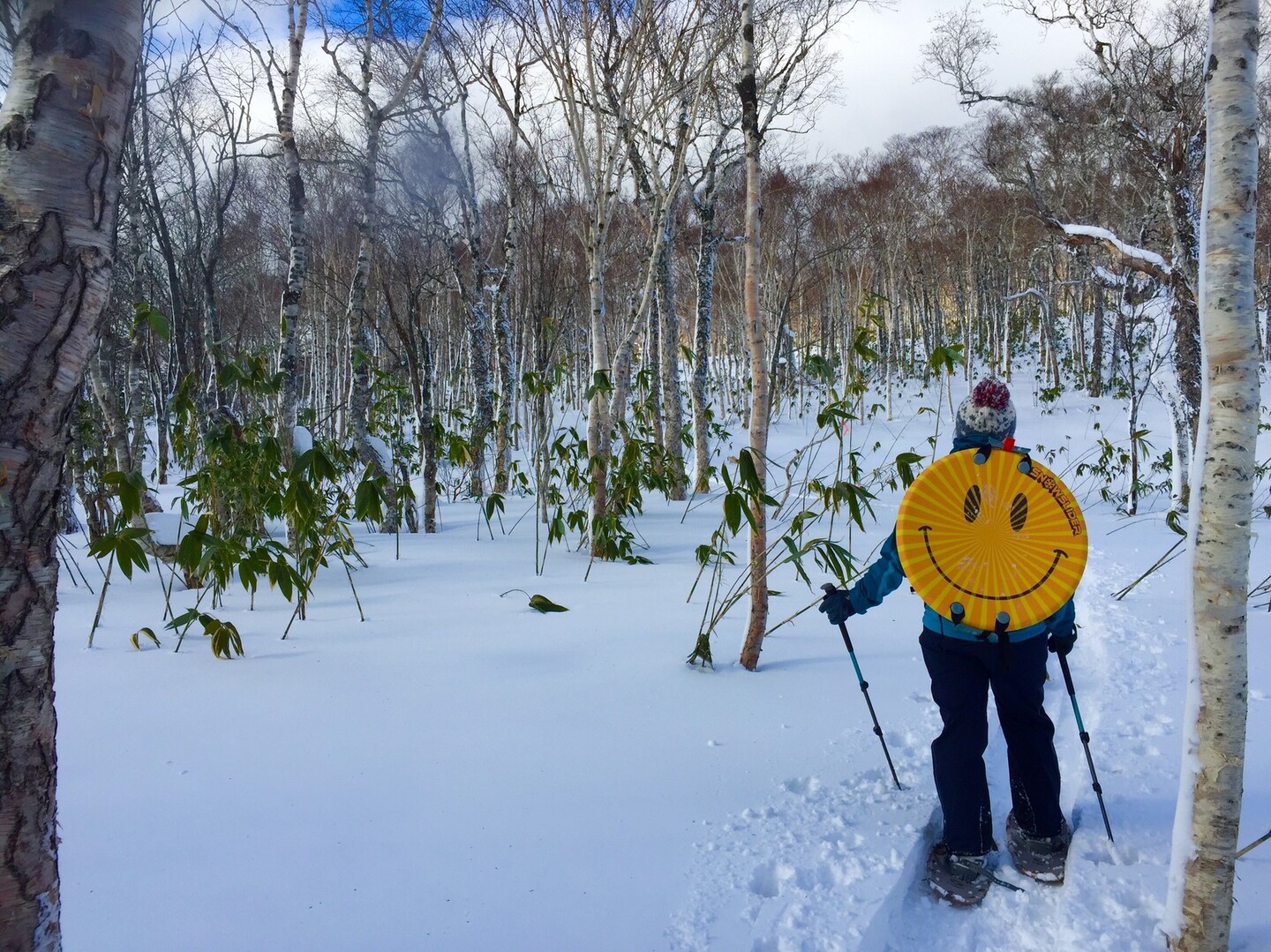 中山峠 蓬莱山 幌滝山 スキー場 中山峠 Yuzuさんの札幌岳 空沼岳の活動日記 Yamap ヤマップ