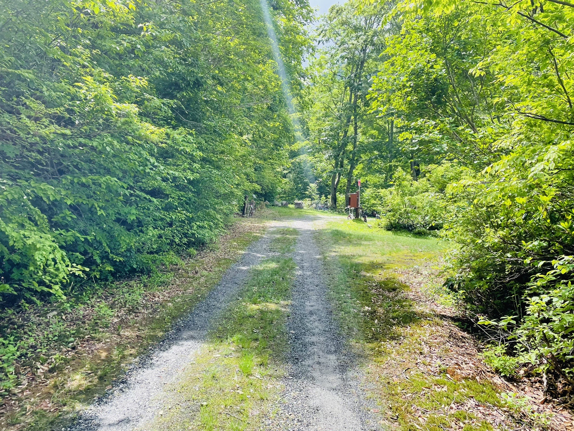 おっ！あれはYAMAPで見るやーつー！