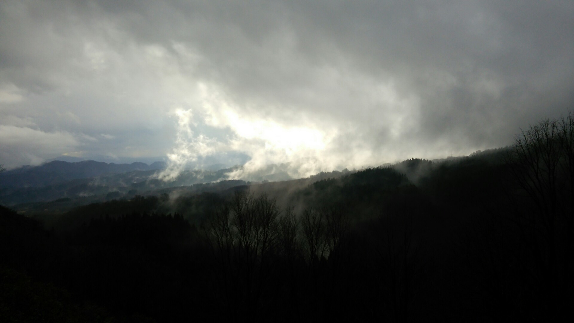 新潟100名山 テンガイ山634m ぬのさんの天蓋山 新潟県 の活動データ Yamap ヤマップ