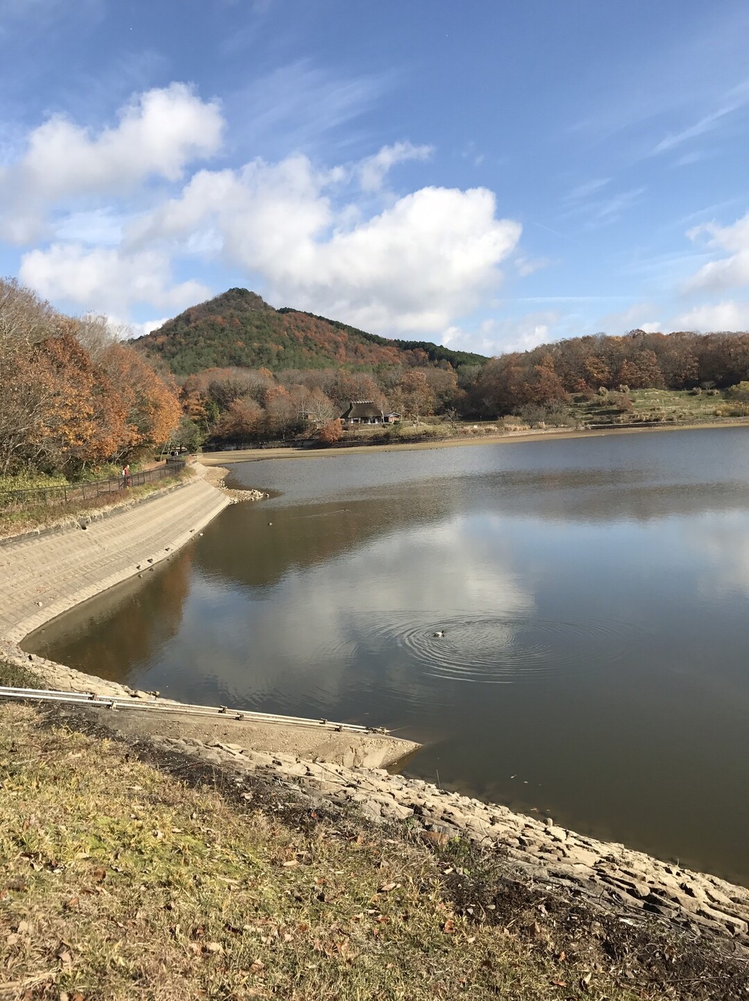 コースを変えて 再び有馬富士ヘ のんちゃんさんの有馬富士の活動日記 Yamap ヤマップ