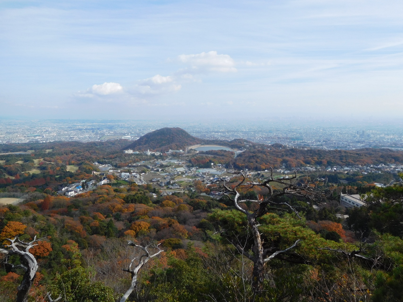 低山だけど侮れない まだまだ紅葉の西宮 鷲林寺と観音山とゴロゴロ丘 いちさんの六甲山 長峰山 摩耶山の活動データ Yamap ヤマップ
