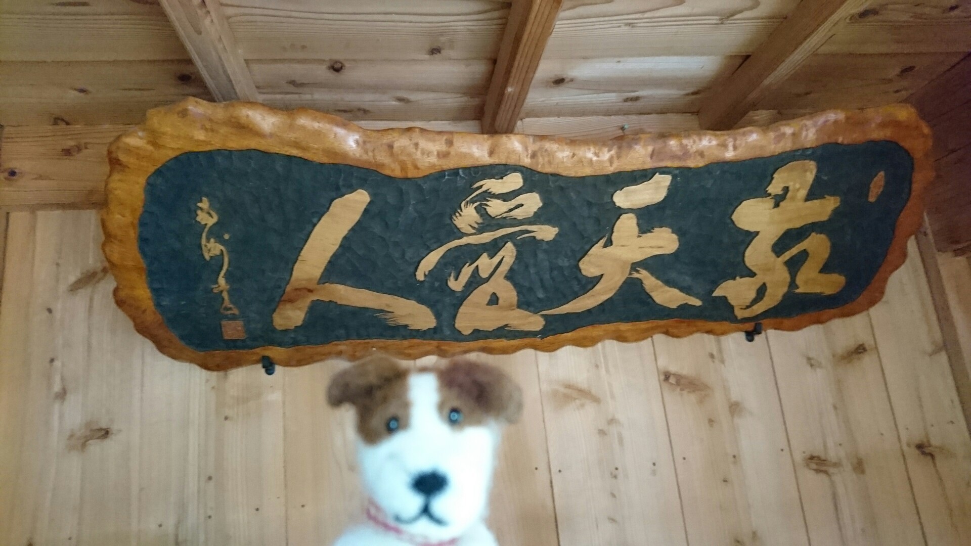 奄美大島 一日目 Atsukoさんの奄美大島 北部 の活動日記 Yamap ヤマップ