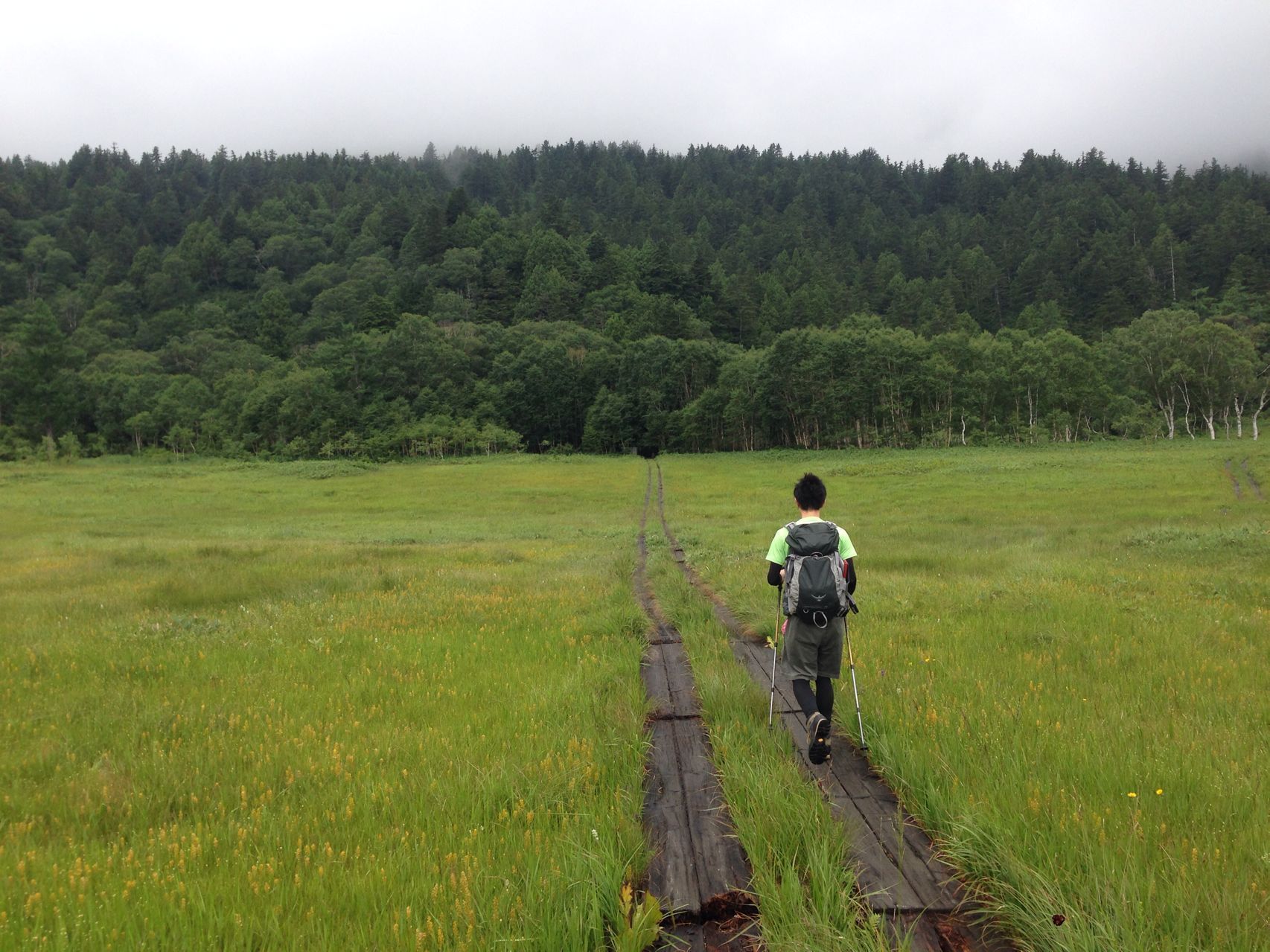 暴風雨の至仏山 はやまるさんの尾瀬 燧ヶ岳の活動データ Yamap ヤマップ
