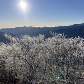 霧氷の向こうに朝日、輝いているのは熊野灘の上の雲、よく見ると海も少し見えています。