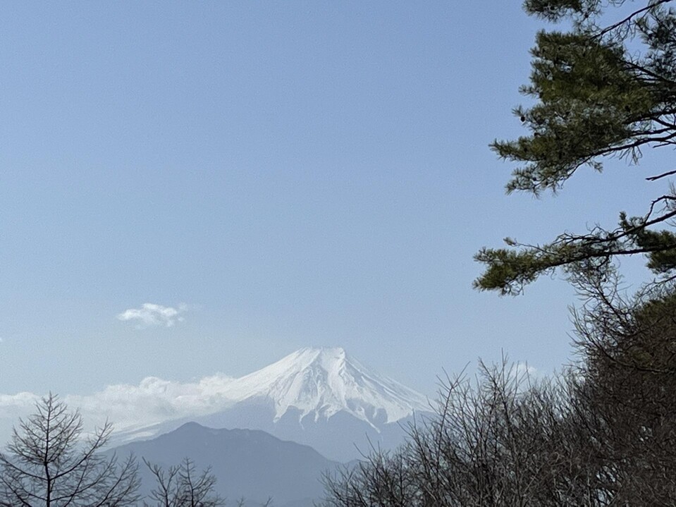 扇山 往復コースの地図・登山ルート・登山口情報 | YAMAP / ヤマップ