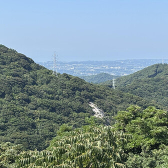 西テラスがよく見える
今日は珍しく賑やかそう👀