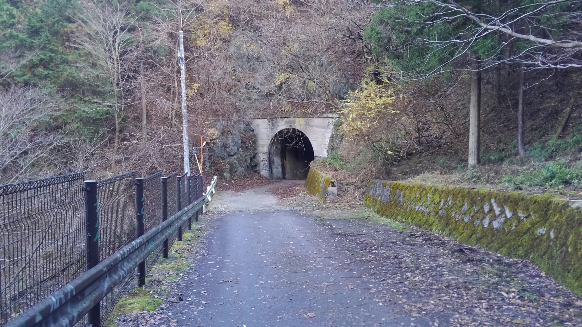 丹沢 大山三峰山 痩せ尾根と鎖場の連続 ふにゃさんの大山の活動日記 Yamap ヤマップ