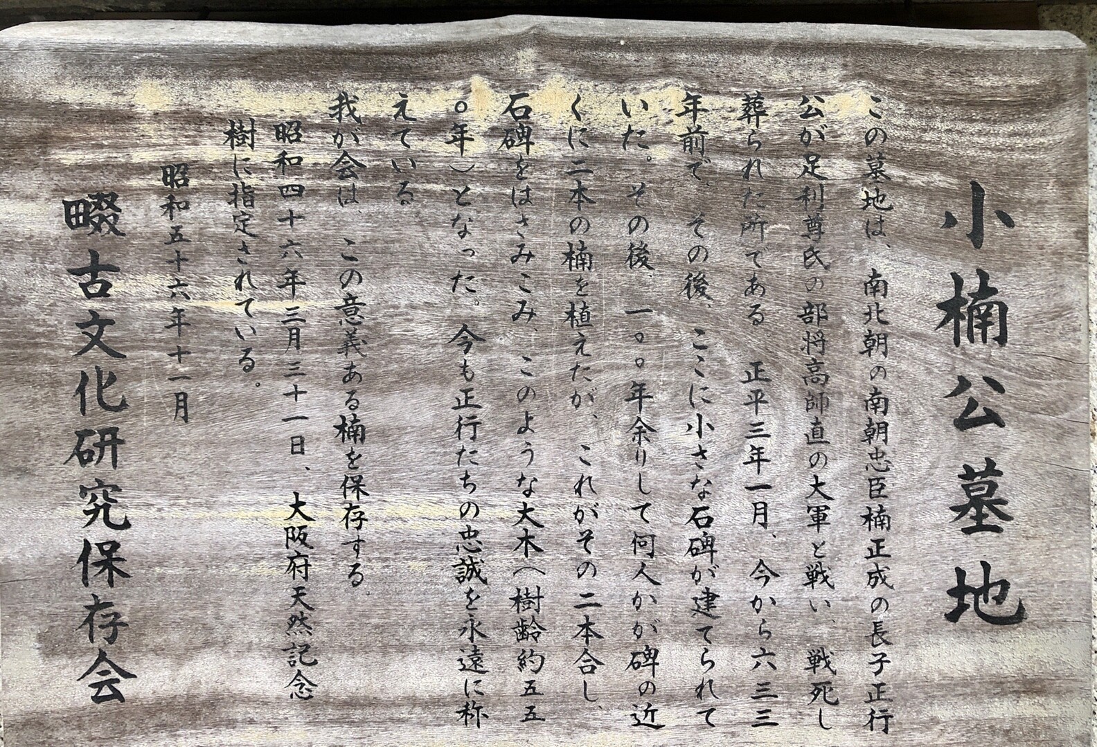 四條畷八景 小楠公の楠 Lucky Jr さんの生駒山 神津嶽 大原山の活動日記 Yamap ヤマップ