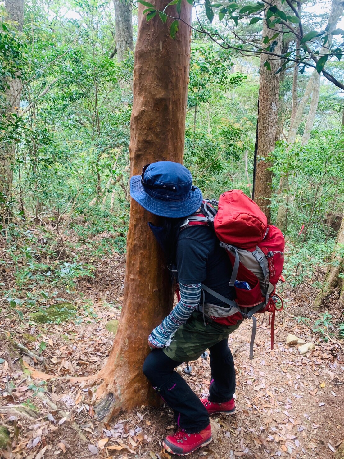 尾鈴山 2019 04 22 めぐりんさんの尾鈴山 長崎尾 矢筈岳の活動データ Yamap ヤマップ