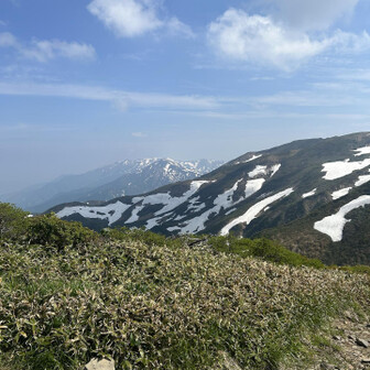 まだまだ白い巻機山方面