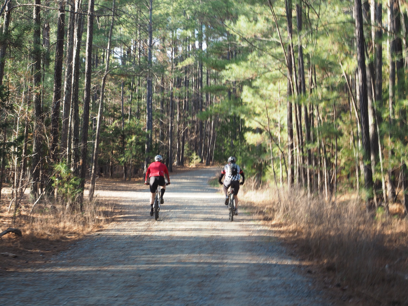 Carolina North Forest (Pumpkin Loop) / HiraKoiさんのウハーリー国立森林公園の活動データ