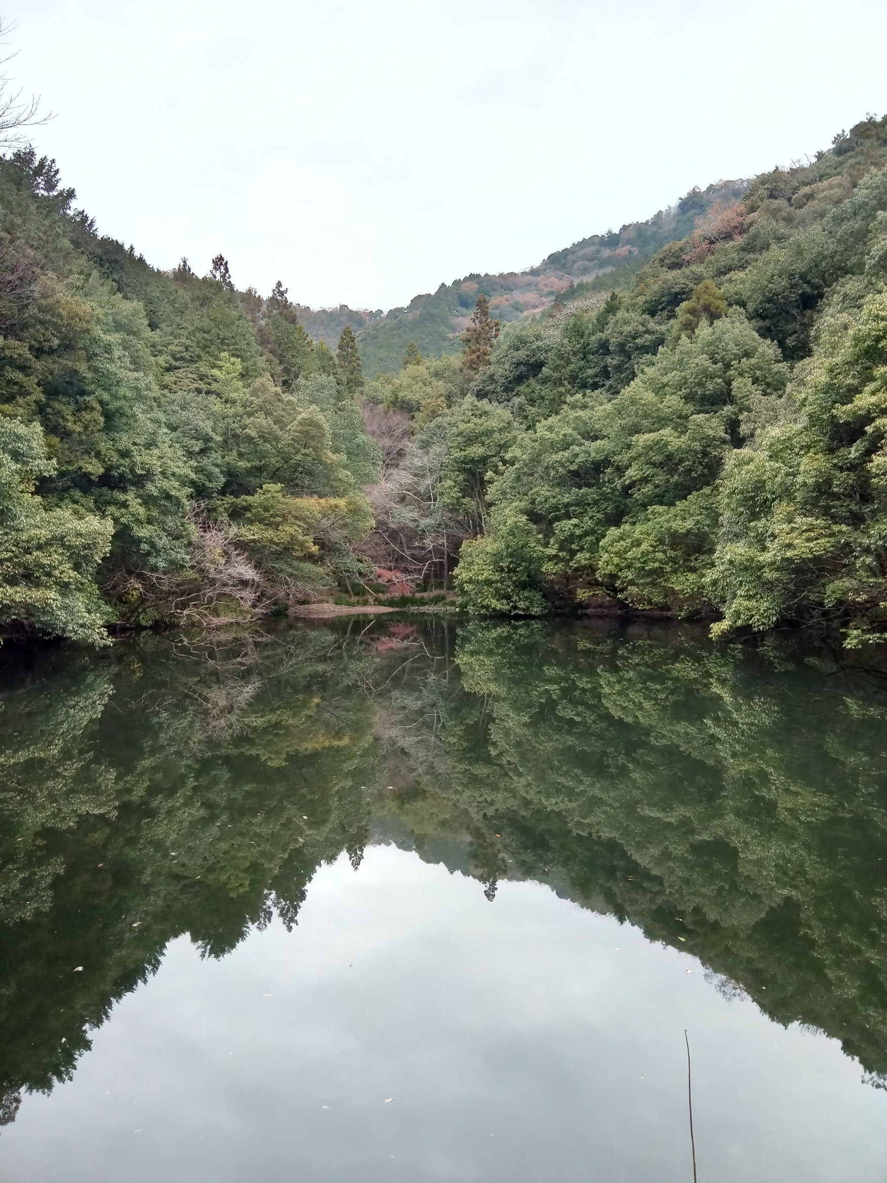 白馬渓 水ヶ城山 臼杵川ウォーキングコース たかたか と 日産リーフ号 さんの鎮南山の活動日記 Yamap ヤマップ