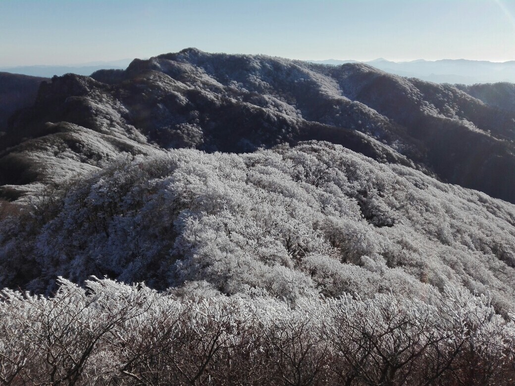 祖母山ソロ登山 祖母山の写真24枚目 Yamap ヤマップ