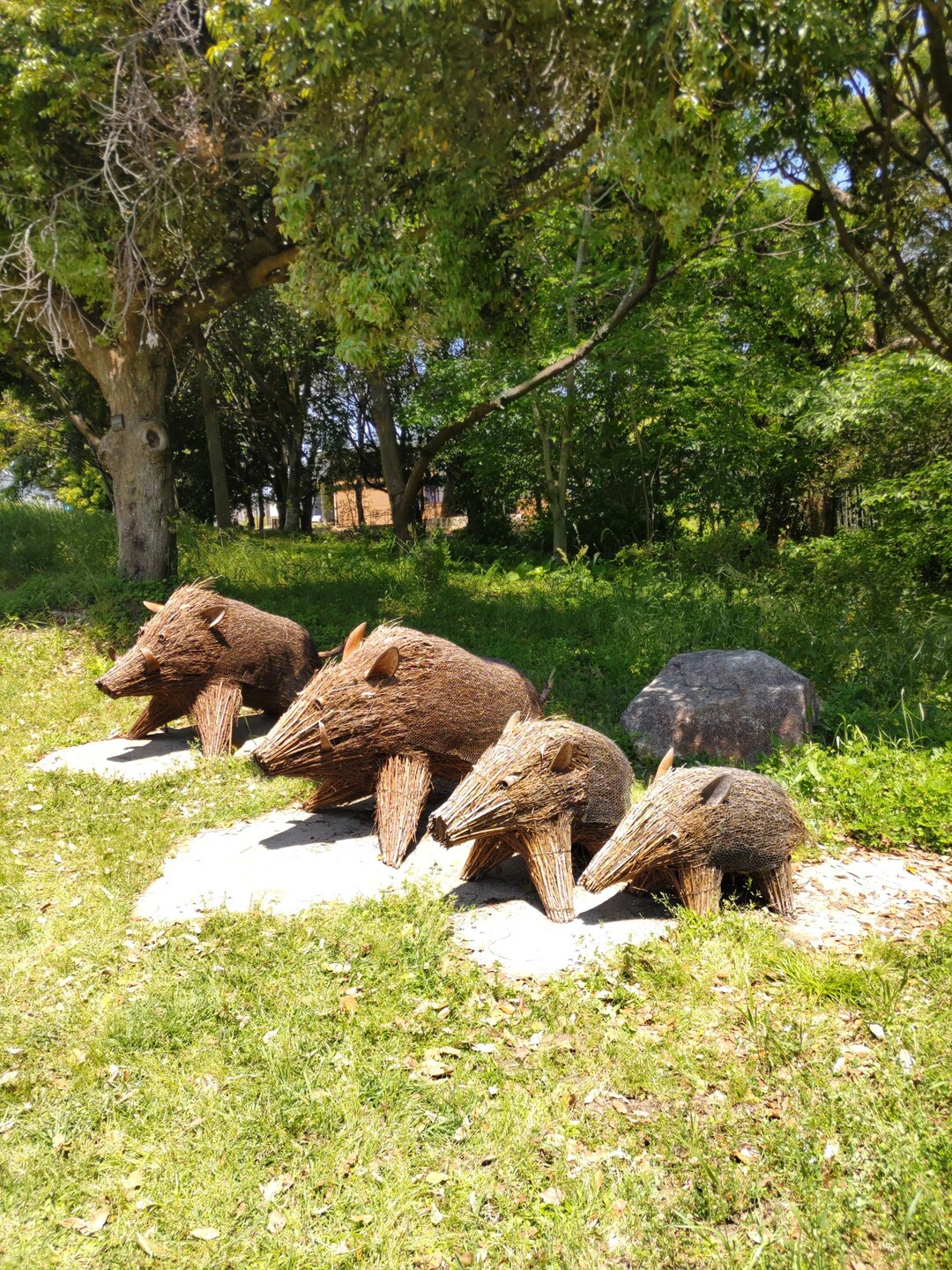 吉野ヶ里公園の イノシシ うり坊がかわ ミッチーさんのモーメント Yamap ヤマップ