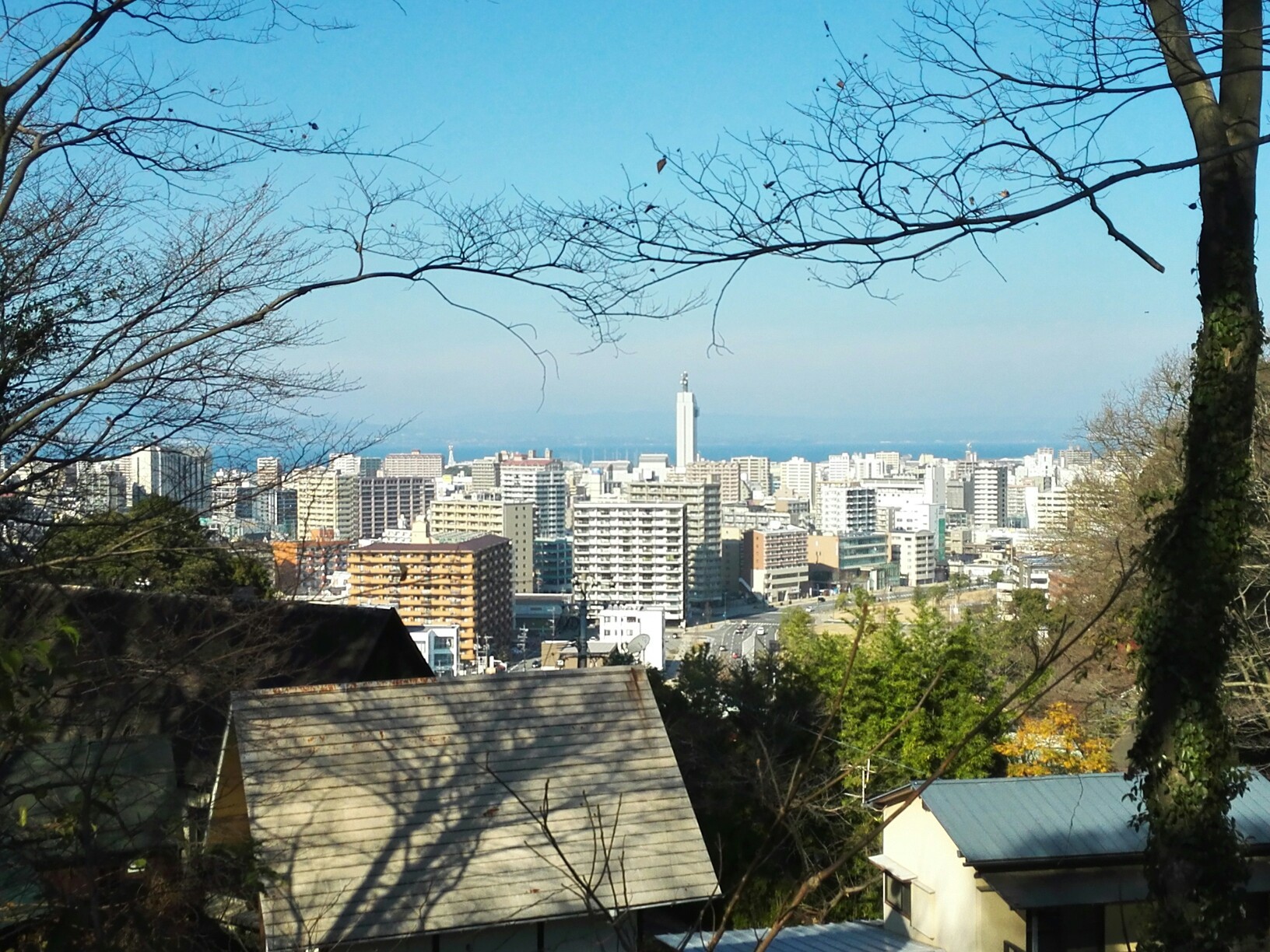 上野丘 大分市美術館 ゆうぼーんさんの大分市の活動日記 Yamap ヤマップ
