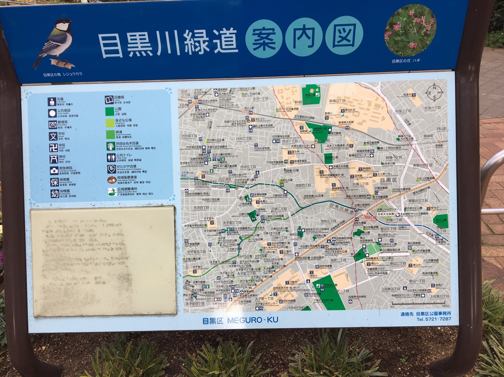 静かなる都会の正月 目黒川緑道 Tetuchanさんの東京都23区 西エリアの活動日記 Yamap ヤマップ