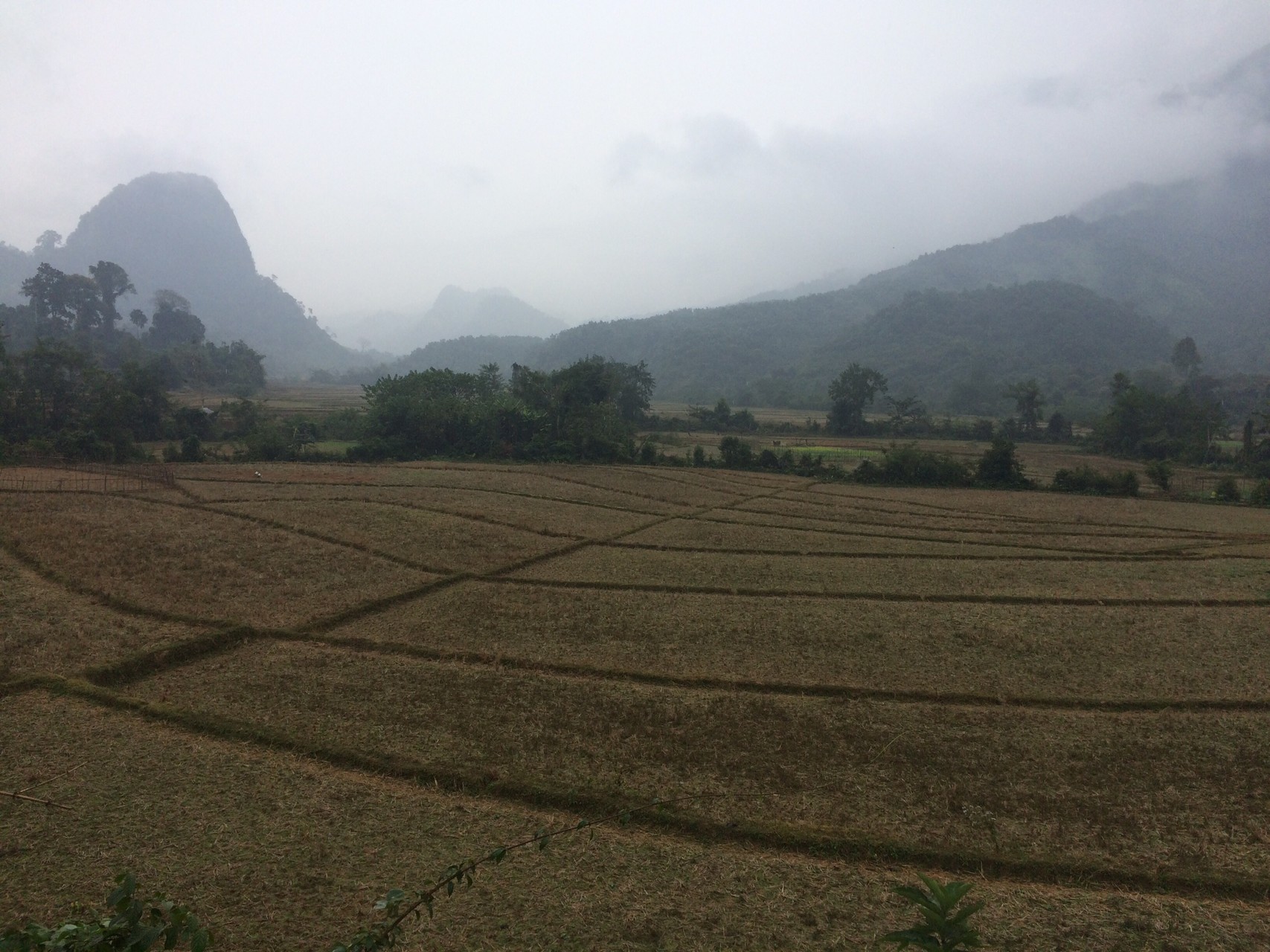 ムアンゴイ バンナ村 ラオス Ikuchoさんのバンコク タイ の活動データ Yamap ヤマップ