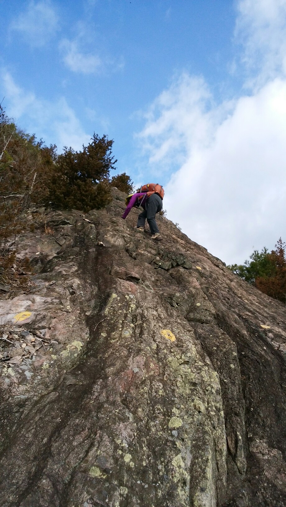 和気アルプス荒神嵓 楽しい 真田丸ロケ地 備中松山城観光 Yuki Chanさんの和気アルプス 和気富士 神ノ上山の活動データ Yamap ヤマップ