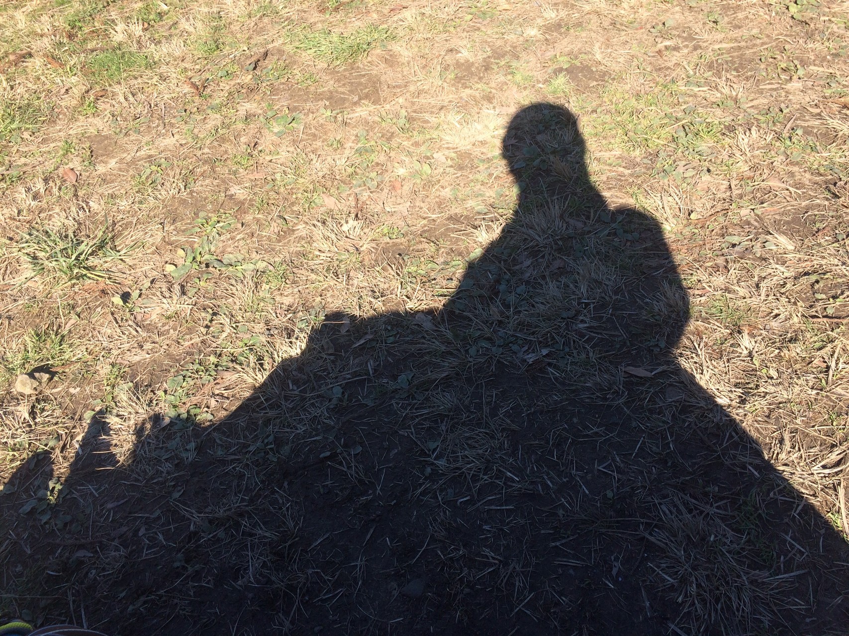 叶岳 高地山 高祖山 トレラン 防空壕 くりりんさんの高祖山 飯盛山 叶岳の活動データ Yamap ヤマップ