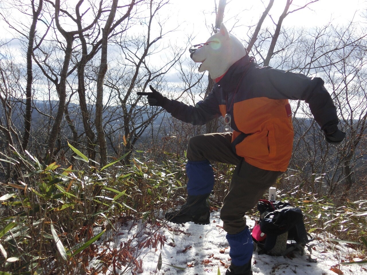 リベンジ鳥越山 / うさきちさんの鳥越山(岩手県)の活動日記  YAMAP 