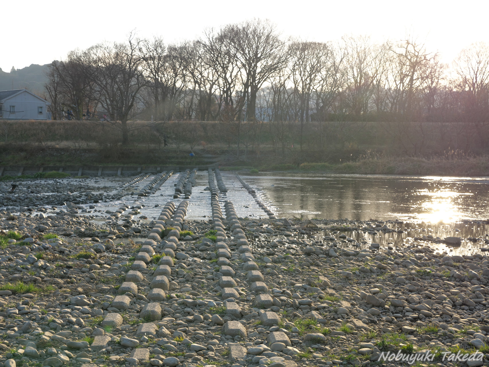 チョット冒険あり 笑 多摩川で鳥撮りウォーキング 聖蹟桜ヶ丘 浅川合流点 たけぱぱさんの国分寺市の活動データ Yamap ヤマップ
