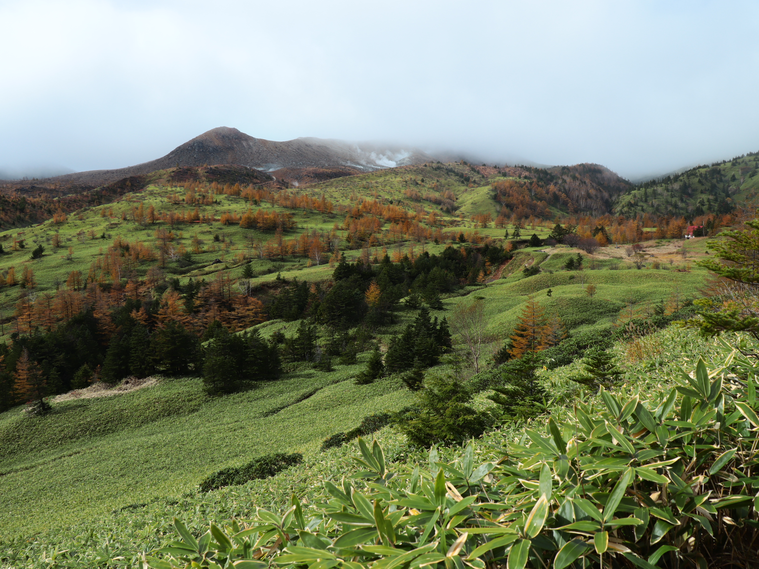 草津 芳ヶ平へ ユキさんの草津白根山 湯釜の活動データ Yamap ヤマップ