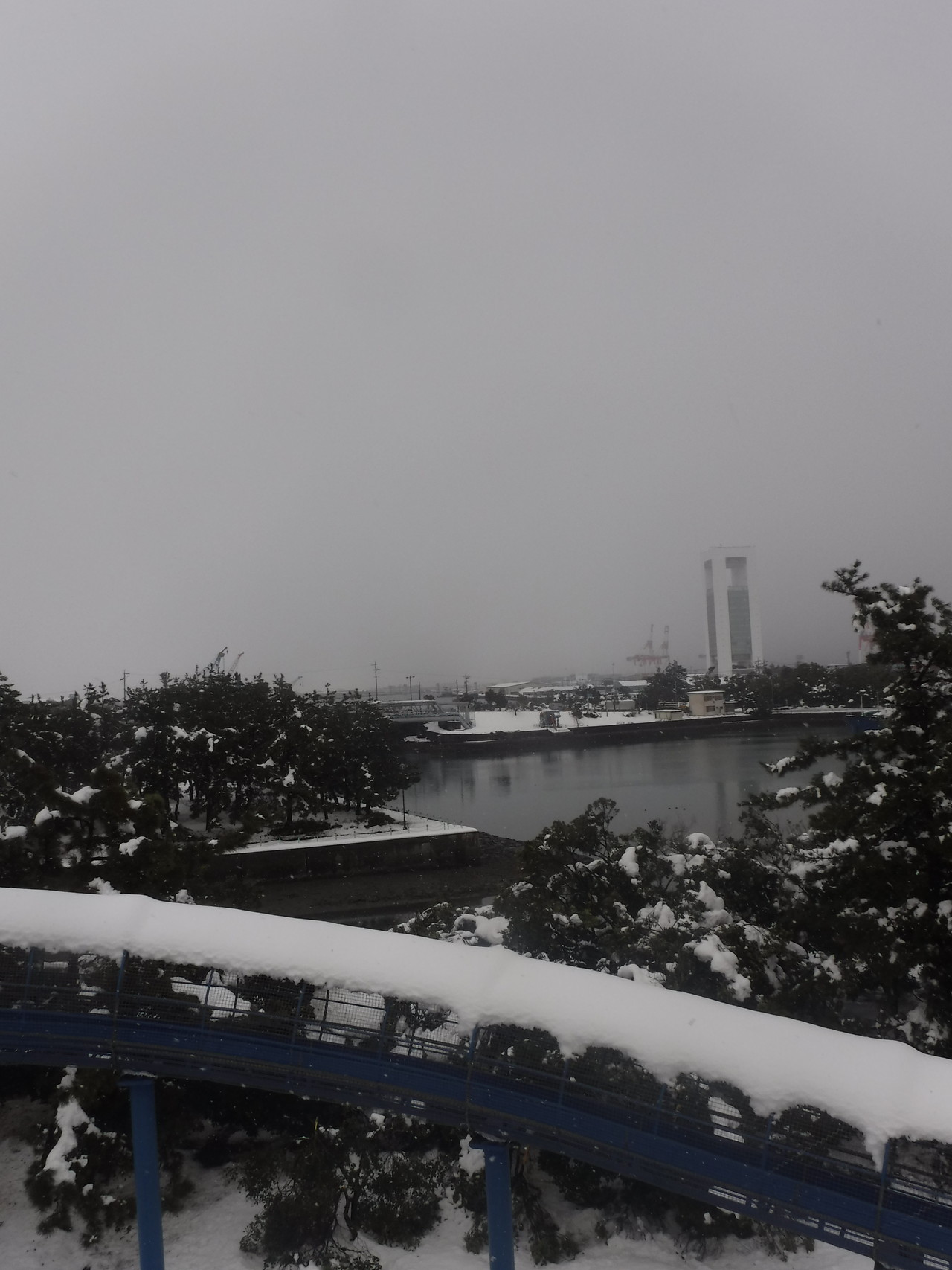 四日市は雪国 ２１年ぶりの大雪 まのちゃんさんの四日市市の活動データ Yamap ヤマップ