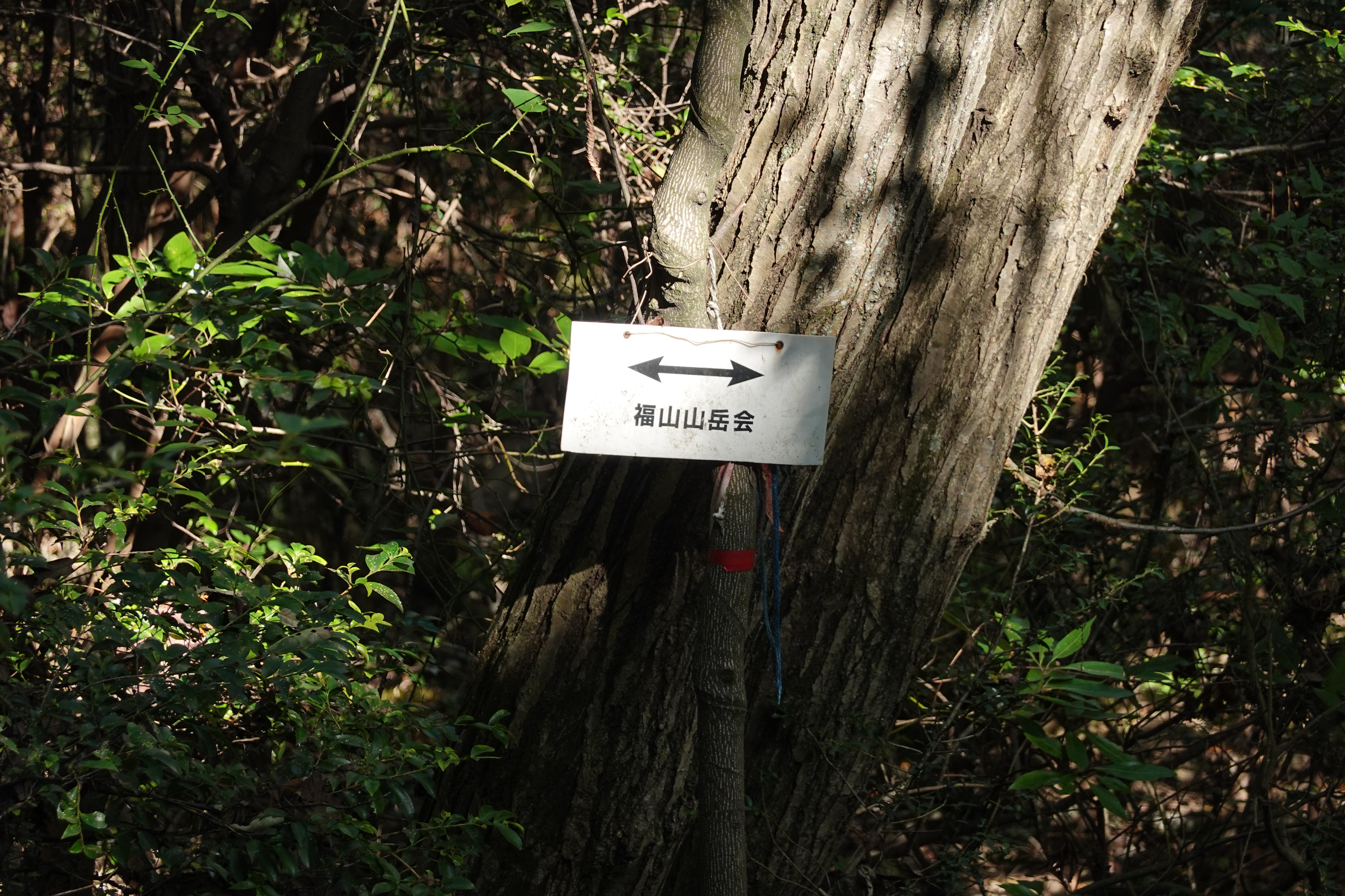 彦山 熊ヶ峰 鞆の浦 沼南アルプス Kanさんの福山市の活動日記 Yamap ヤマップ