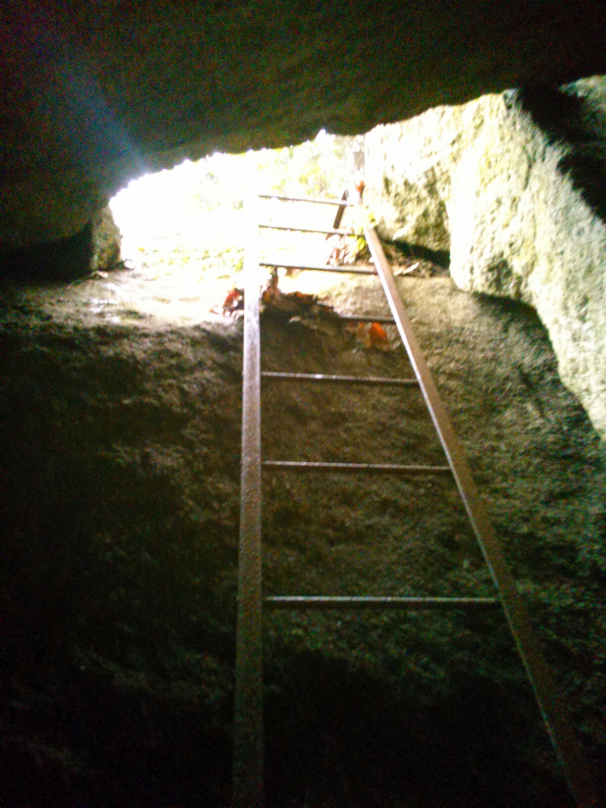 洞窟探検 河内七面山から生駒散策 Jinさんの生駒山 神津嶽 大原山の活動日記 Yamap ヤマップ